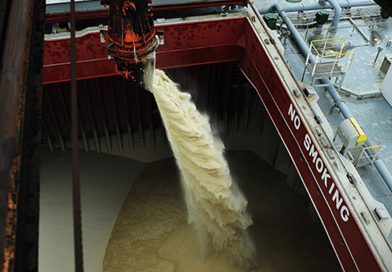 Açúcar: exportação atinge 785 mil toneladas em junho
