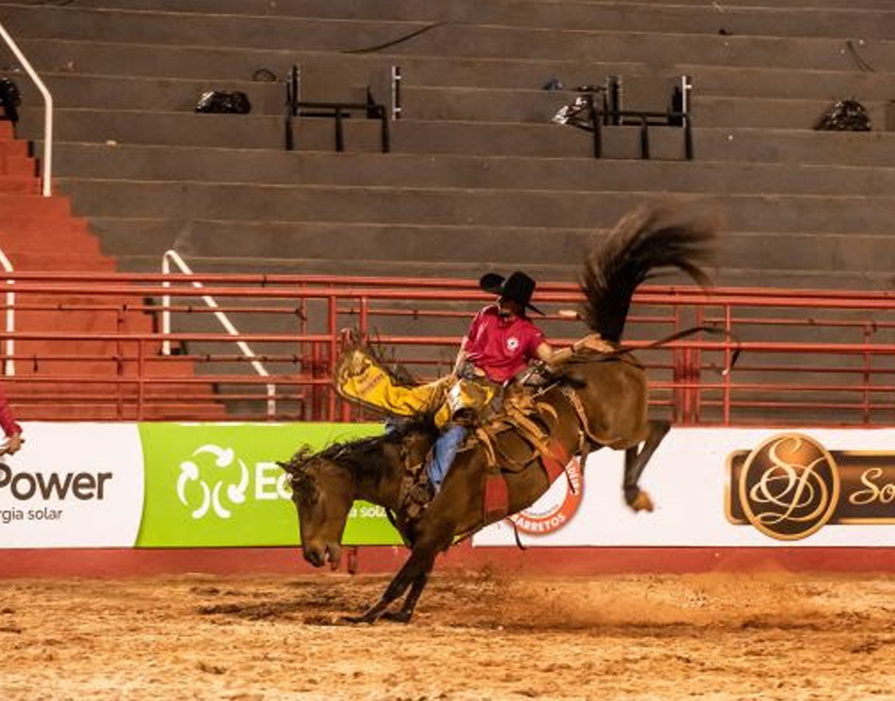 Barretos 2017: Montarias em cavalos e touros; FOTOS, Festa do Peão de  Barretos 2017