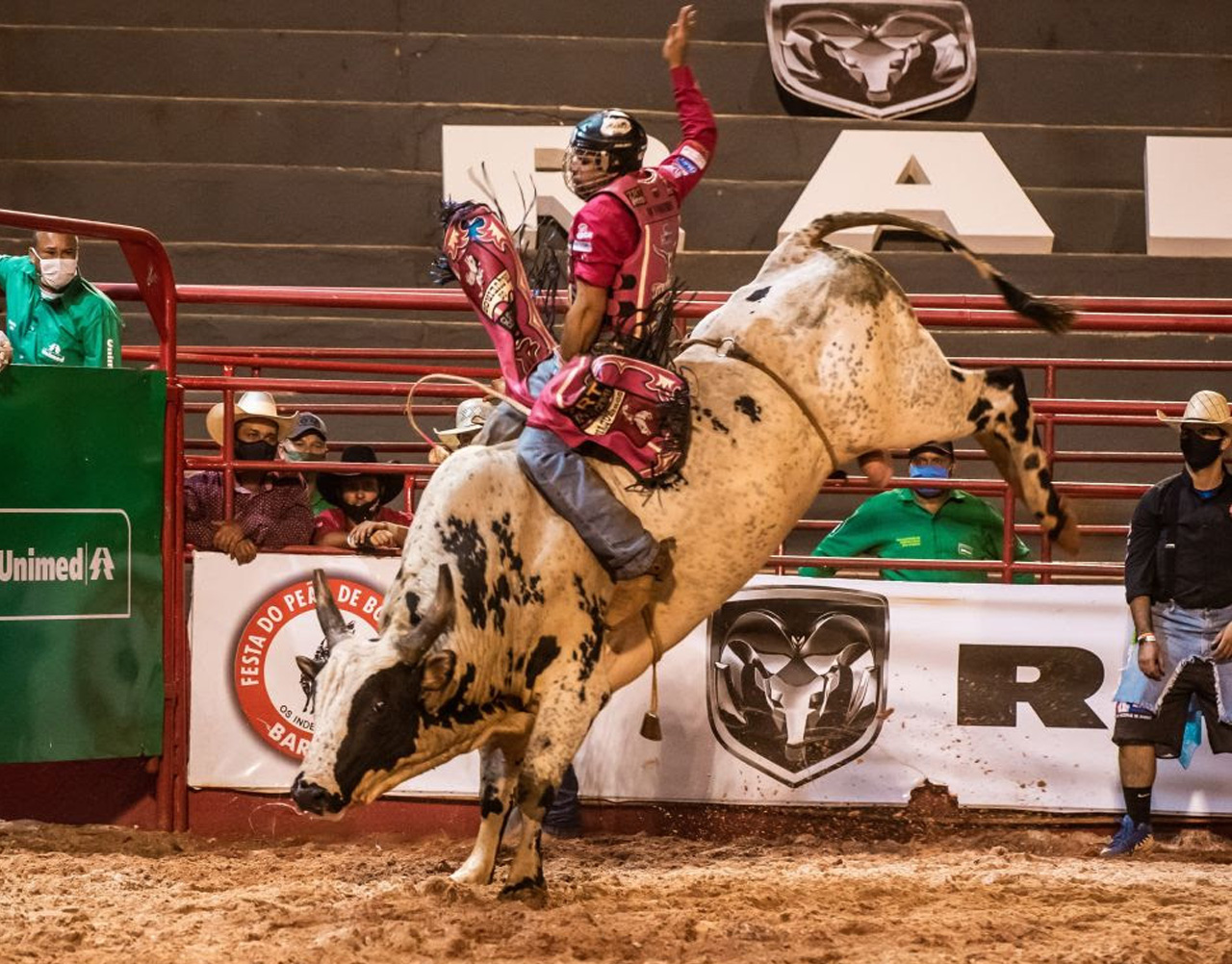 Rodeio: principais diferenças entre montar em touro ou cavalo