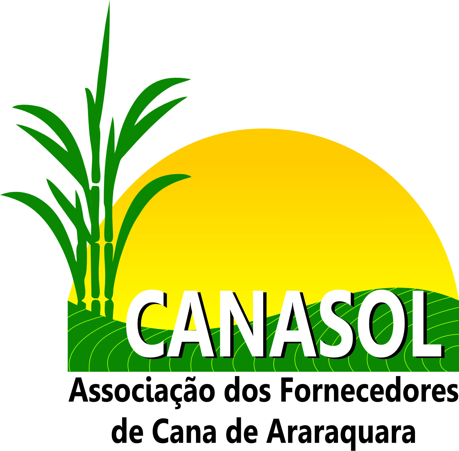 Canasol