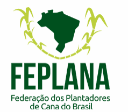 Captura de tela 2026-03-13 074556