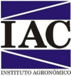 Captura de tela 2026-03-13 104924